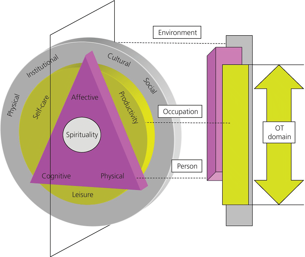 3D diagram of the CMOP‐E depicted as concentric circles for environment and occupation with a triangle for domains of a person and bars with a double-headed arrow on the right side for OT domain.