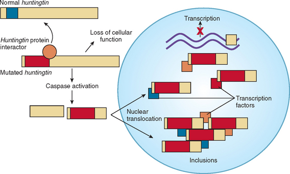 HUNTINGTON’S DISEASE | Neupsy Key