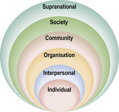 The biopsychosocial model | Neupsy Key