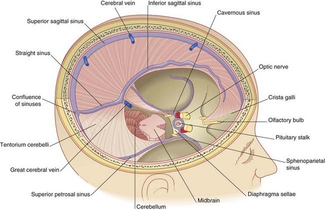 Vendrá la muerte y tendrá tus ojos, 33 poetas suicidas, Antologia