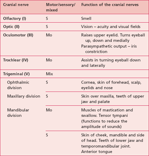 Brain Stem, Cranial Nerves, Visual System, Vestibular System, Reticular 