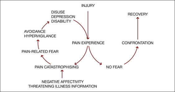 Pain | Neupsy Key