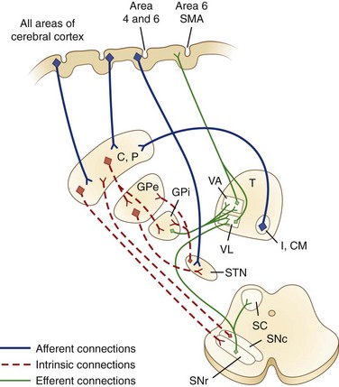 Movement Disorders | Neupsy Key