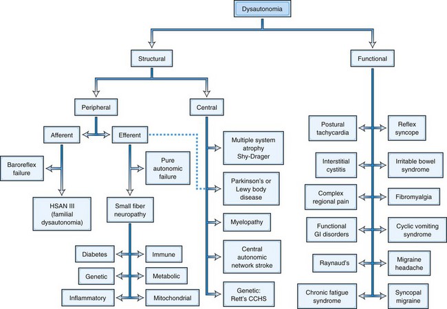 Dysautonomia: When the Autonomic Nervous System Malfunctions