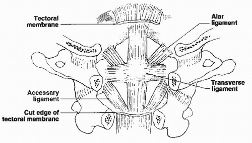 Functional Anatomy Of Joints Ligaments And Disks Neupsy Key