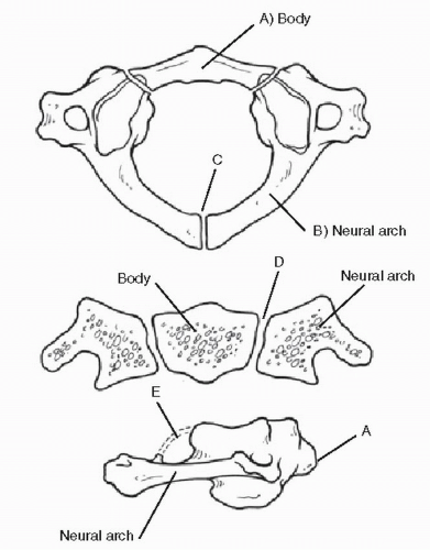 Cervical Spine Injuries in Children | Neupsy Key