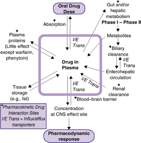 Clinical And Developmental Aspects Of Pharmacokinetics And Drug ...