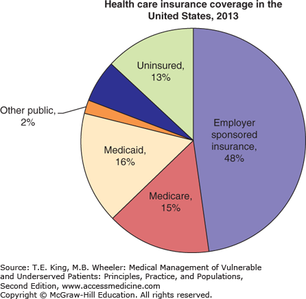 Financing And Organization Of Health Care For Vulnerable Populations ...