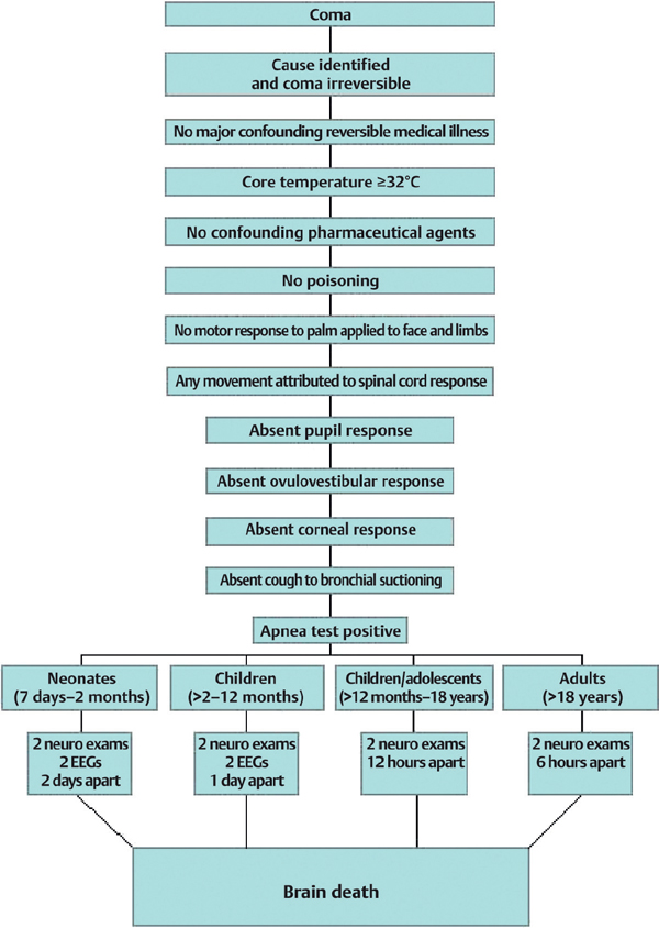 Confirmatory Tests for Brain Death