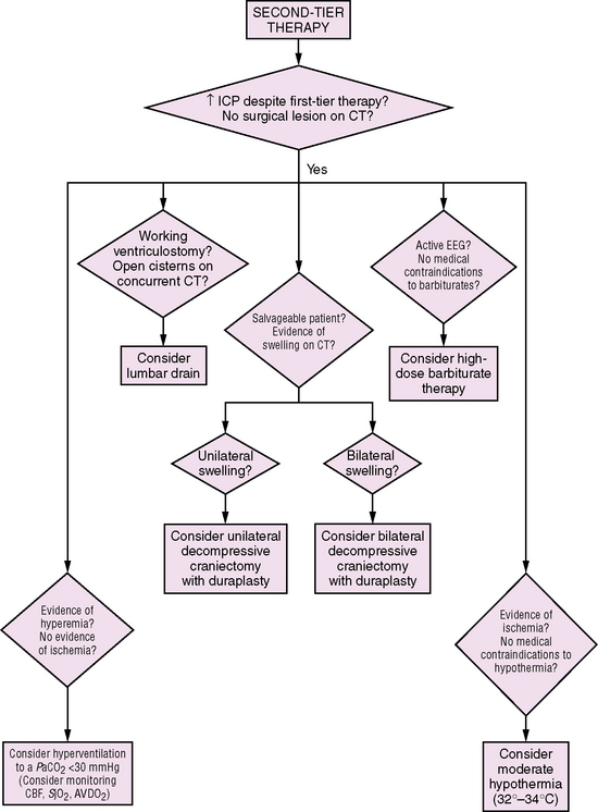 Traumatic Brain Injury In Children | Neupsy Key