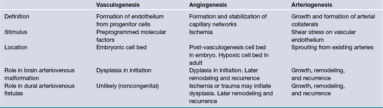 Vascular Malformations (Arteriovenous Malformations and Dural ...