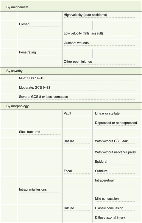 Closed Head Injury | Neupsy Key