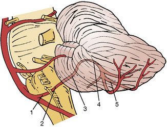pica artery full form