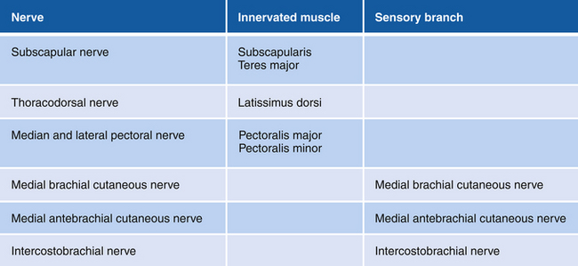 Anatomy and Function in the Upper Extremity | Neupsy Key