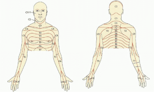 Neurologic Evaluation of the Cervical Spine | Neupsy Key