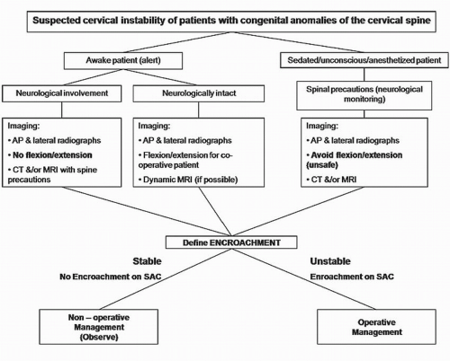 Treatment of Cervical Spine Instability in the Pediatric Patient ...