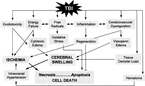 Postnatal Trauma And Injuries By Physical Agents | Neupsy Key