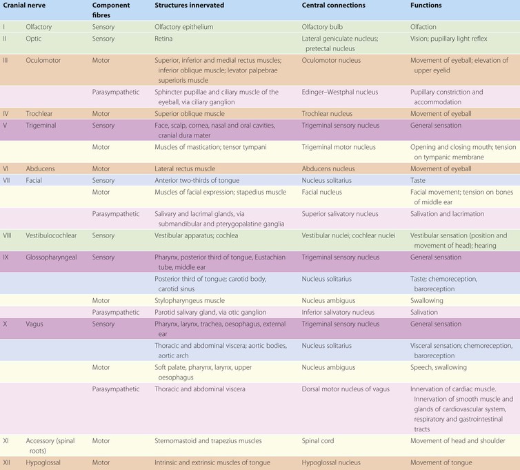 Cranial Nerves Function Chart