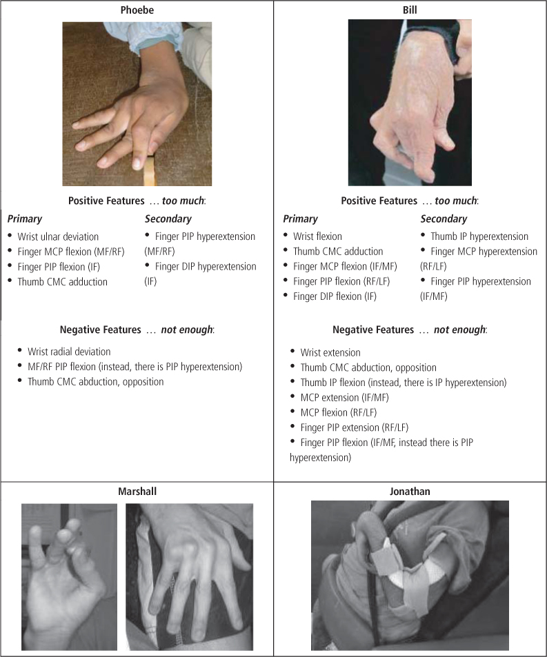 Making Sense of the Clinical Picture: Assessment and Goal Setting ...