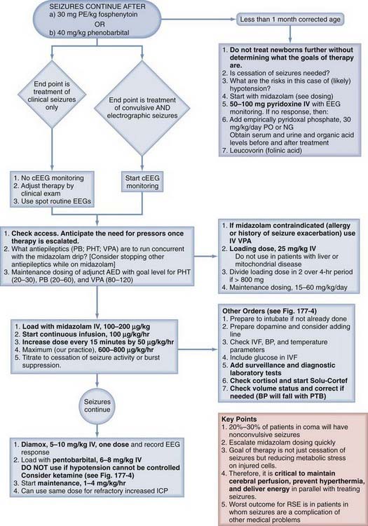 Neurocritical Care in Children | Neupsy Key