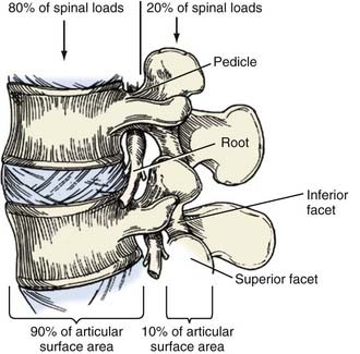 Posterior, Transforaminal, and Anterior Lumbar Interbody Fusion ...