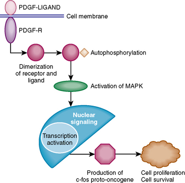 Frontiers Spinal Meningiomas From Biology To Management A