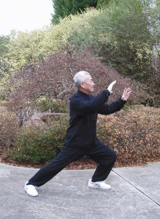 Tai Chi, Qi Gong, and Other Complementary Alternative Therapies for ...