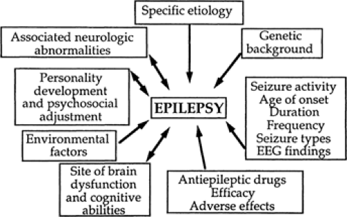 Introduction: What Is Epilepsy? | Neupsy Key