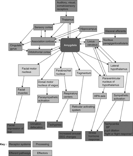 Anxiety Disorders in Epilepsy | Neupsy Key