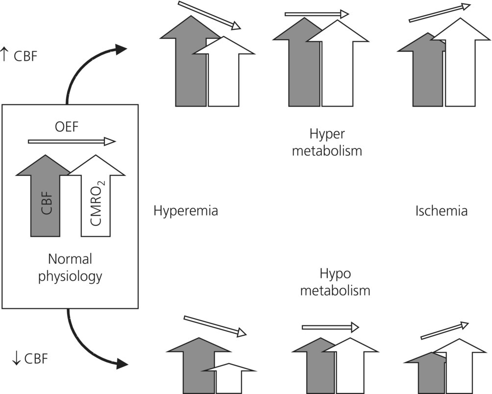 c7-fig-0002