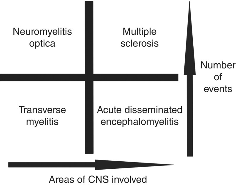 Transverse Myelitis And Acute Disseminated Encephalomyelitis Neupsy Key