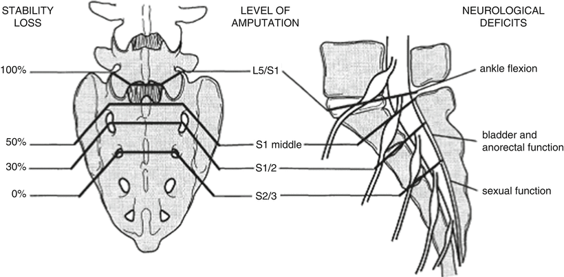 A11926_3_En_37_Fig1_HTML.gif