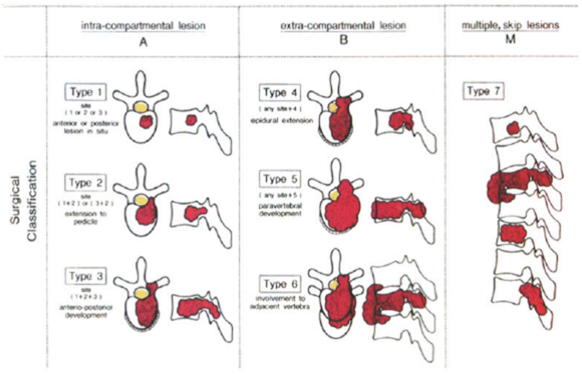 A11926_3_En_53_Fig2_HTML.gif