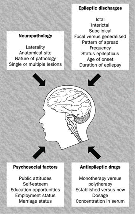 Neuropsychological Assessment of Patients with Epilepsy Neupsy Key