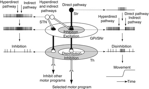 A312377_1_En_1_Fig3_HTML.jpg