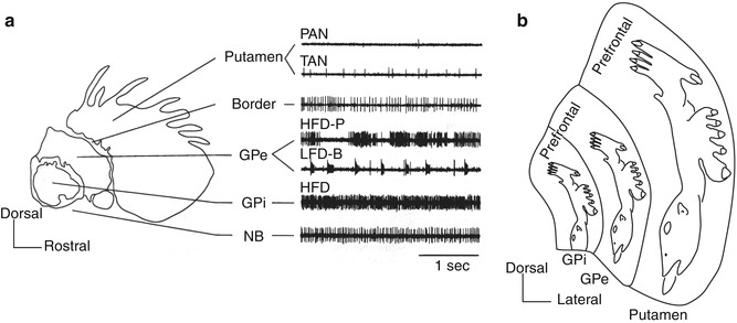 A312377_1_En_1_Fig4_HTML.jpg