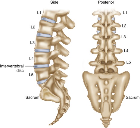 Lumbosacral spine