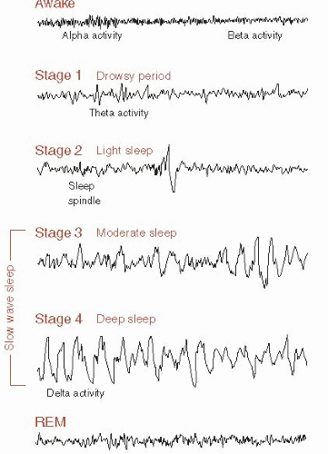 Sleep and Circadian Rhythms | Neupsy Key