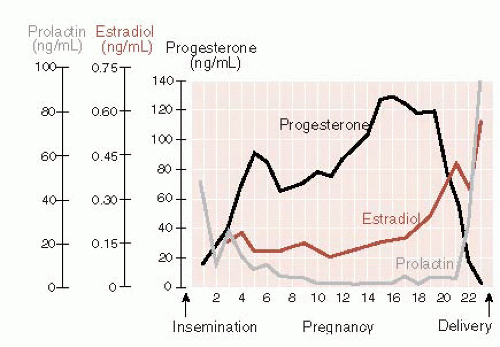 Prolactin level during pregnancy