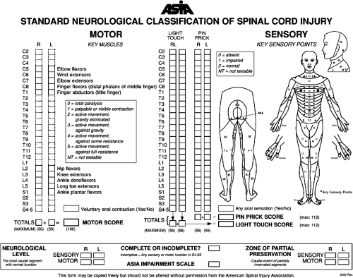 the-neurological-evaluation-and-medical-management-of-acute-spinal-cord