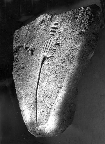 Handprints From The Past Neupsy Key