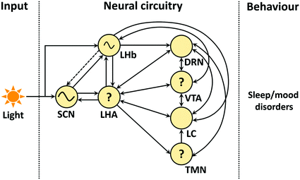 A319003_1_En_16_Fig3_HTML.gif