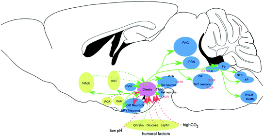 A319003_1_En_1_Fig3_HTML.gif