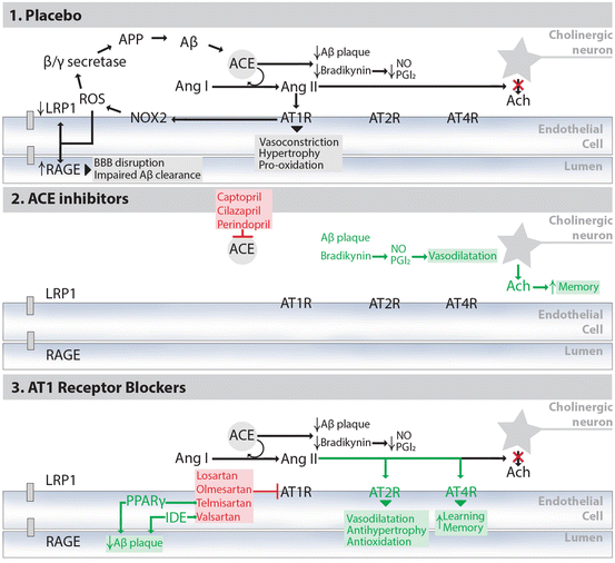 A327675_1_En_5_Fig3_HTML.gif