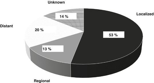 A310521_1_En_3_Fig4_HTML.gif