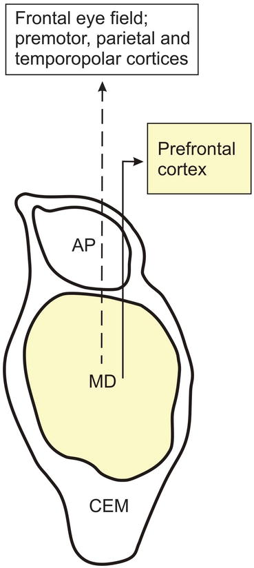 A331014_1_En_4_Fig3_HTML.jpg