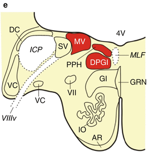 A331014_1_En_6_Fig2b_HTML.gif