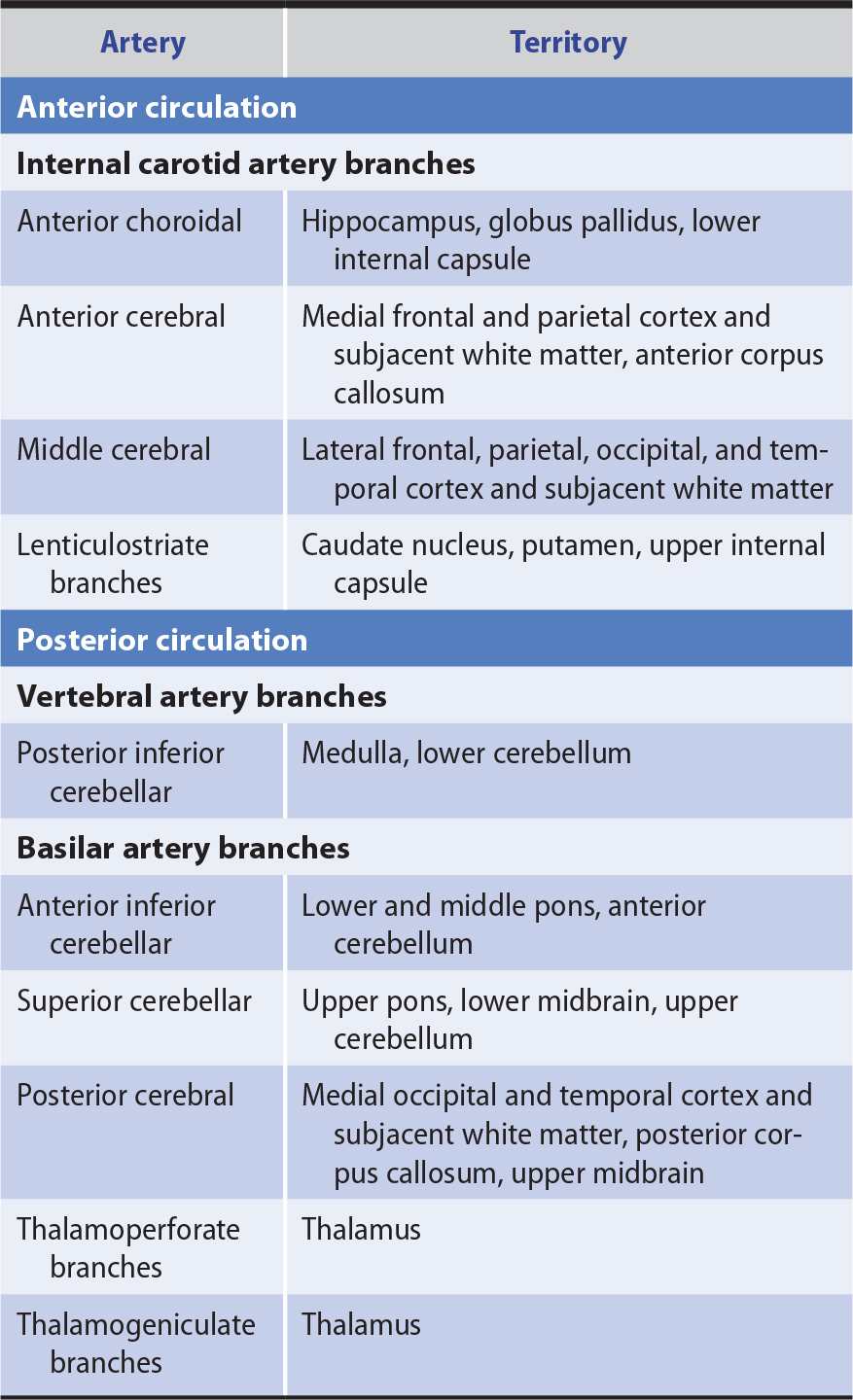 Cerebral Artery Occlusion Pathophysiology - mapasgmaes