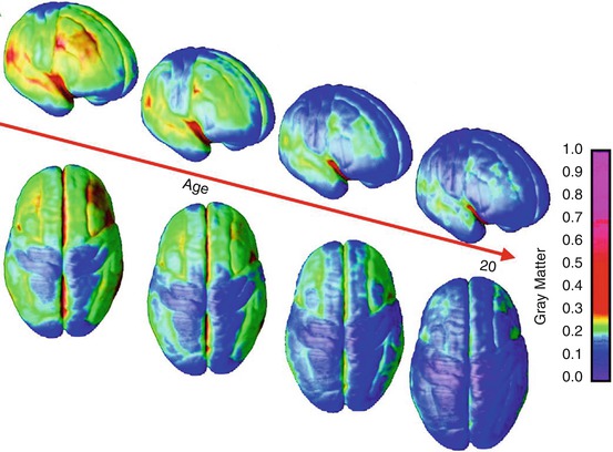 The Neurodevelopmental and Neurofunctional Basis of Intersubjectivity ...