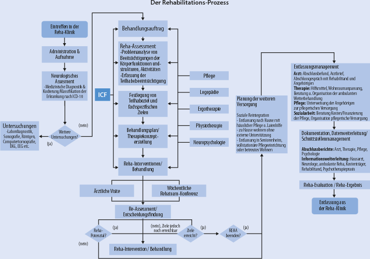 Icf schema